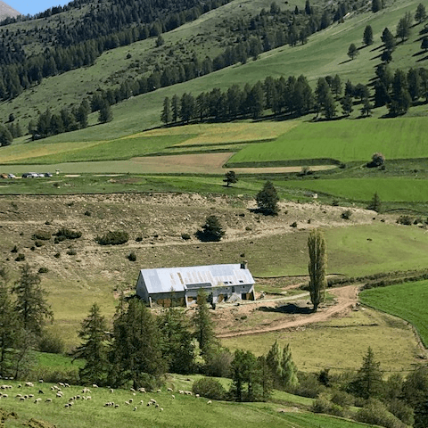 Le Forest Arto, Vakantiehuis, Provence, people: 6
