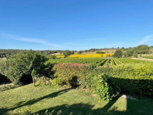 France – Languedoc-Roussillon –  – Entre Les Vignes